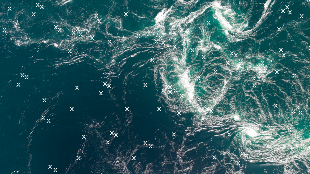 international-market-research-company