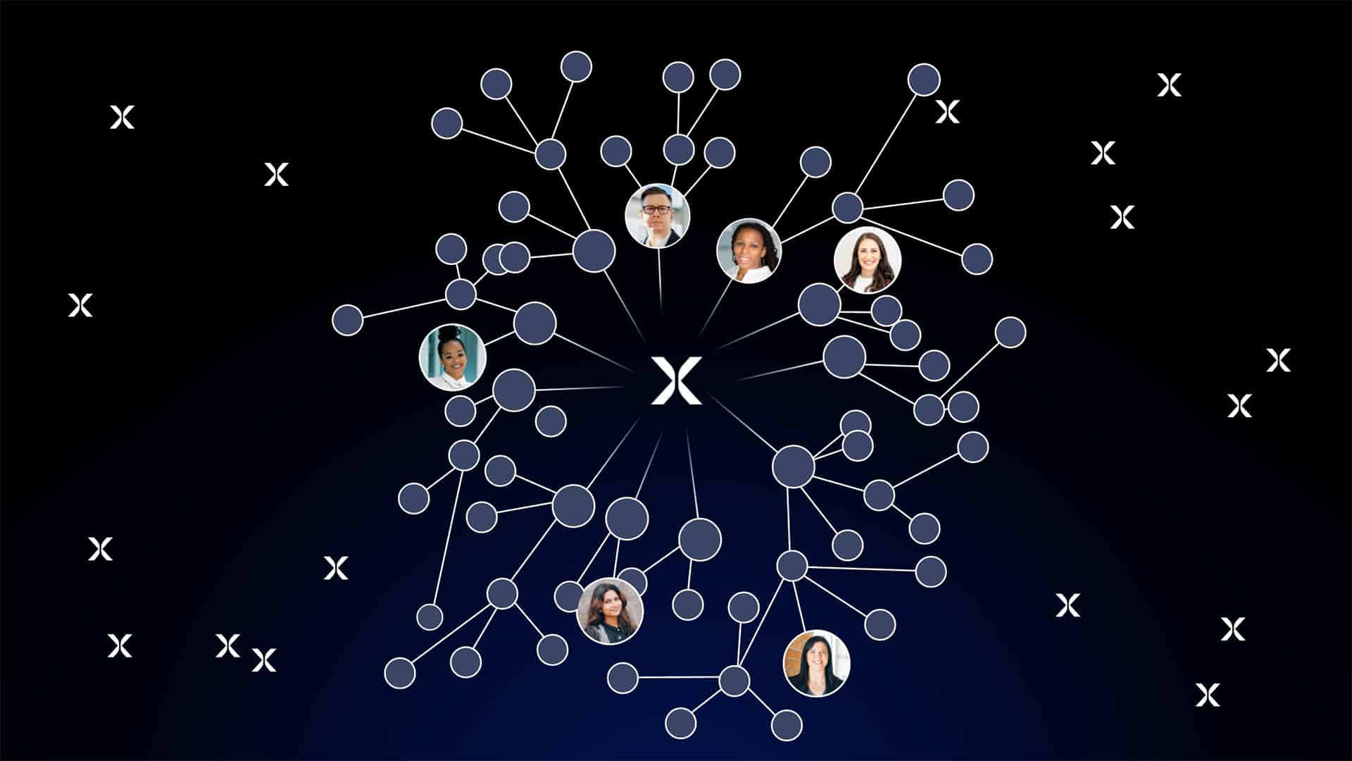 NewtonX knowledge graph visual in action connecting people and data points