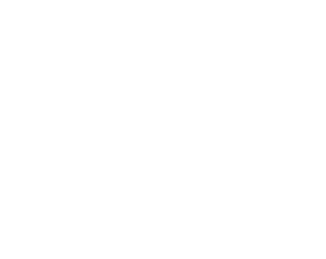 esomar-light-300×238