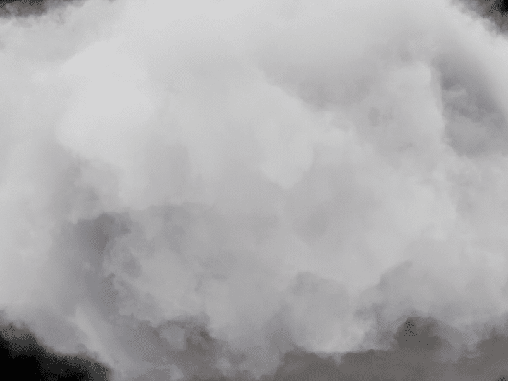 B2B Newtonx – Technology & SaaS